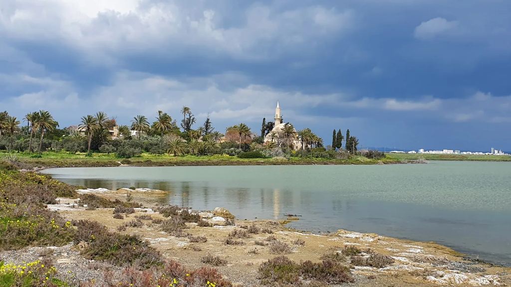 The Hala Sultan Tekke mosque among palm trees on the shore of the Larnaca Salt Lake